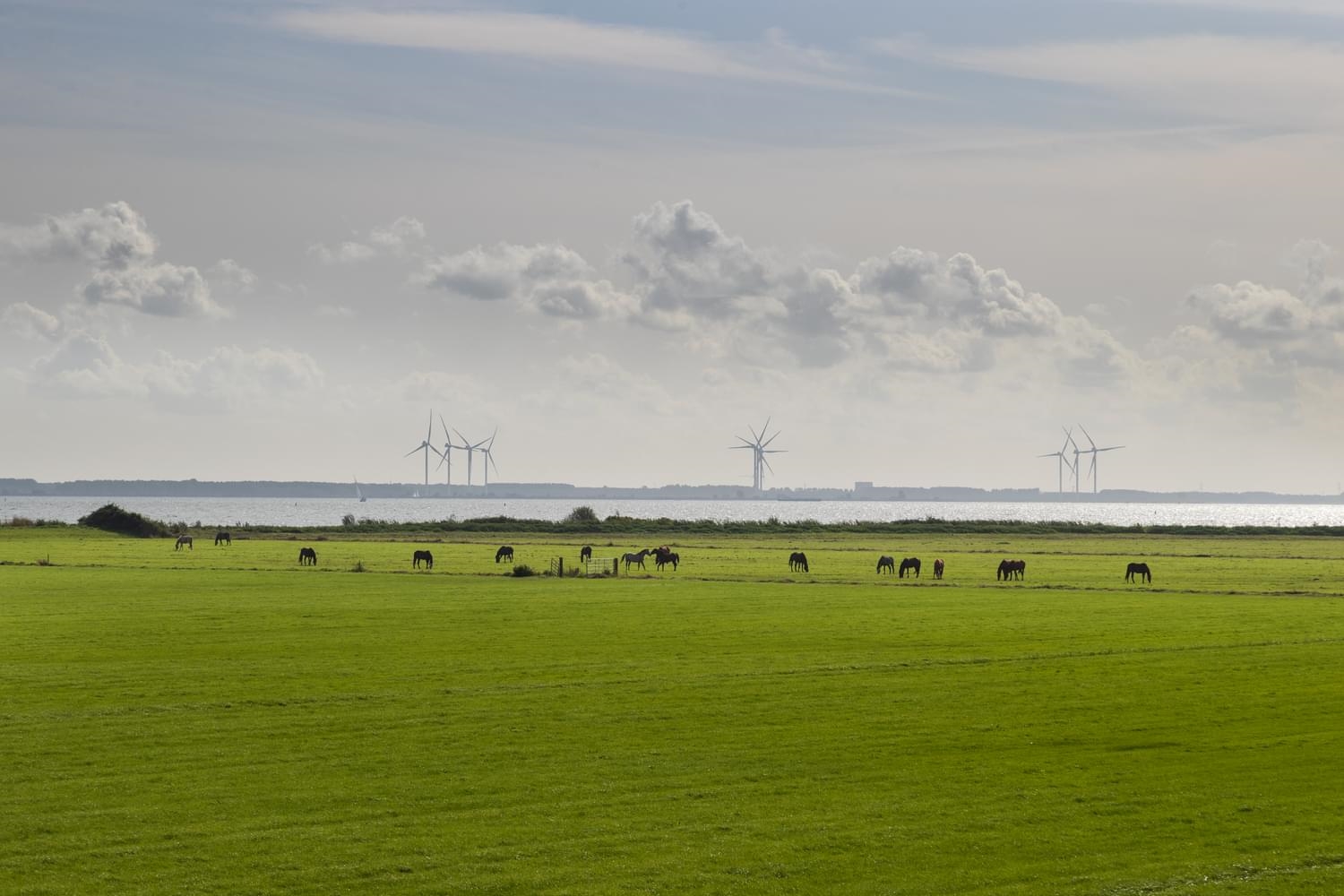 Assistent Projectleider Natuur & Inrichting