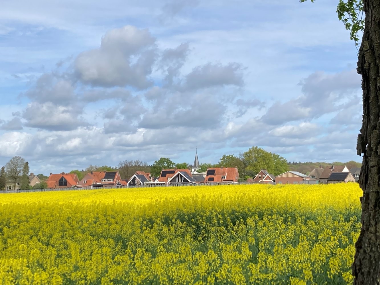 Proces/gebiedsregisseur Landelijk Gebied