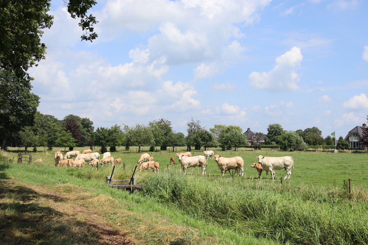 Stagiair Landelijk Gebied